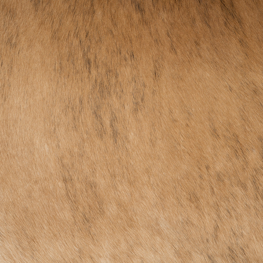 <p>Light Exotic Brindle Cowhide</p>