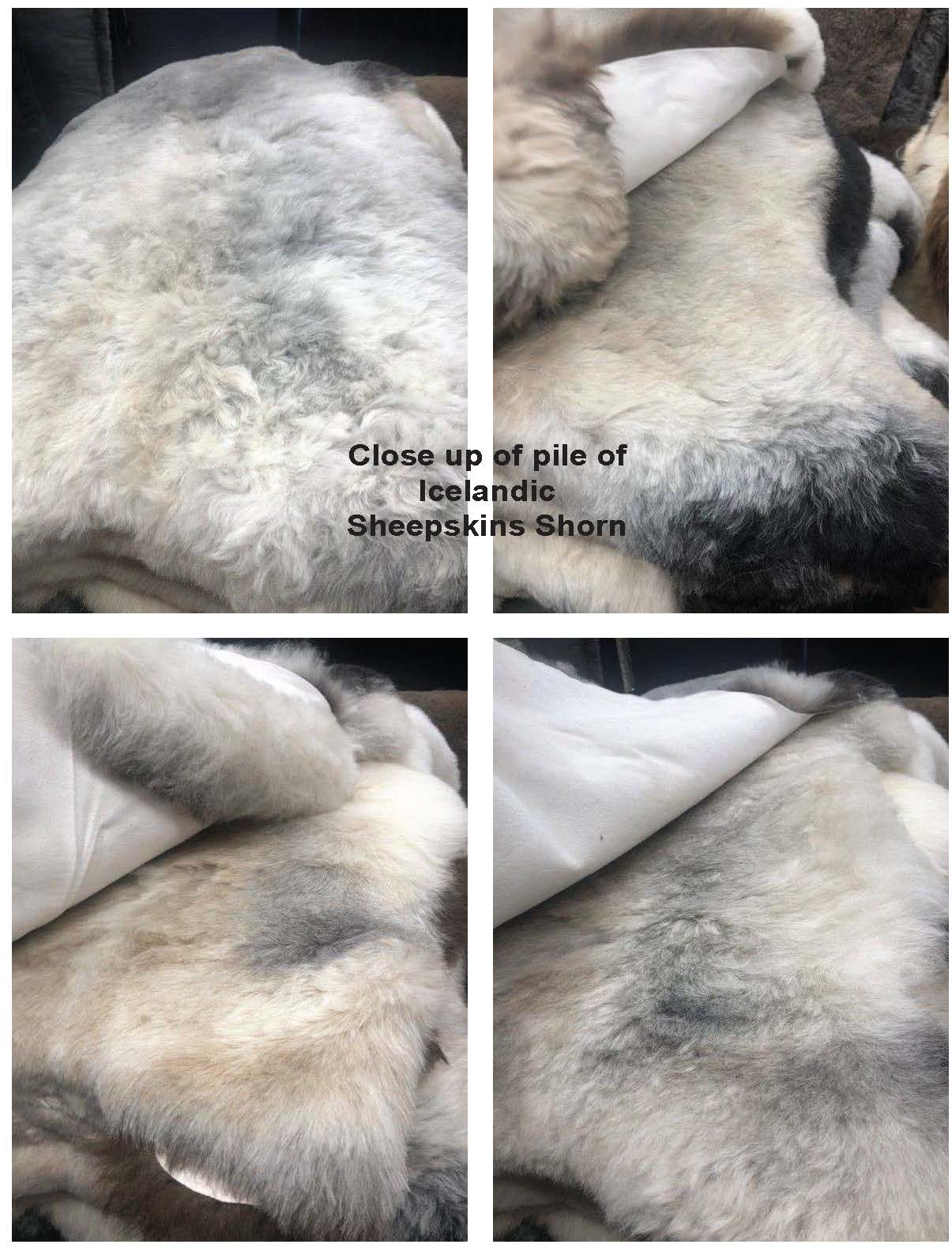 Icelandic Shorn Sheepskin Rug - Dark Edges