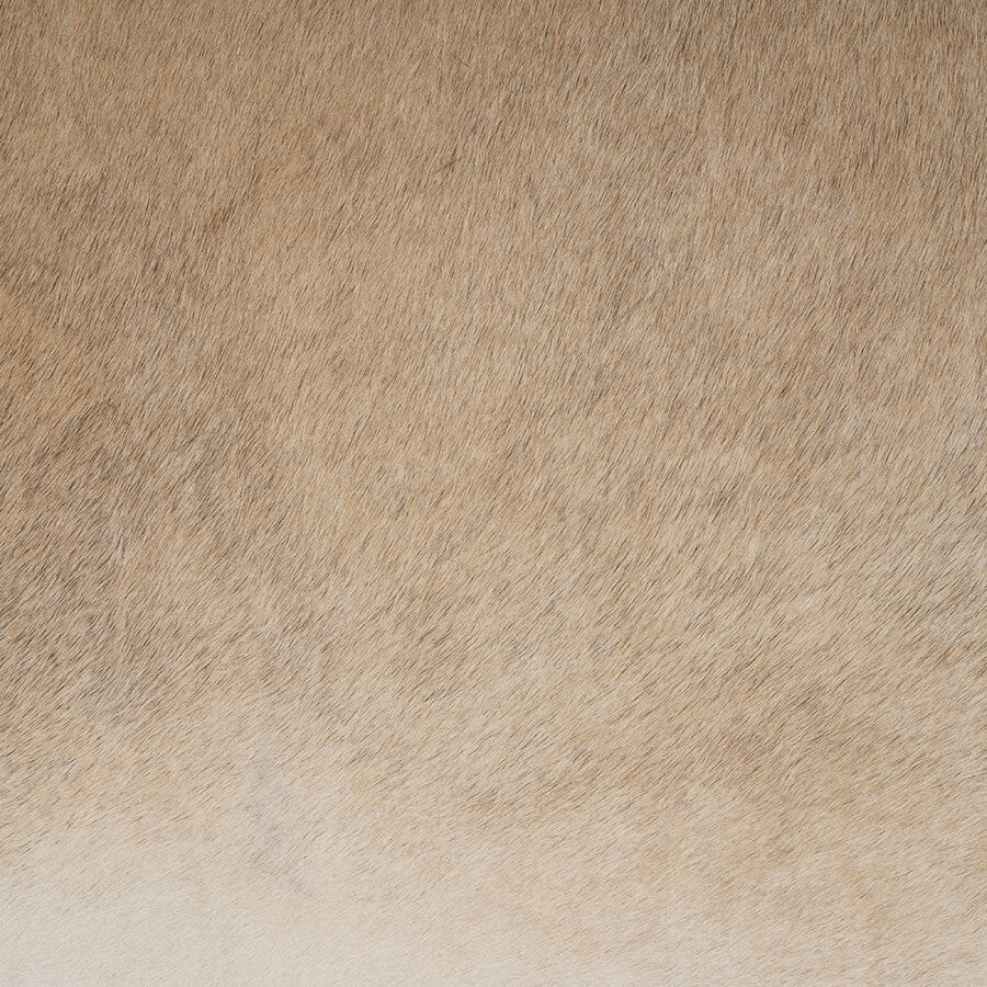 <p>Light Grey Cowhide</p>