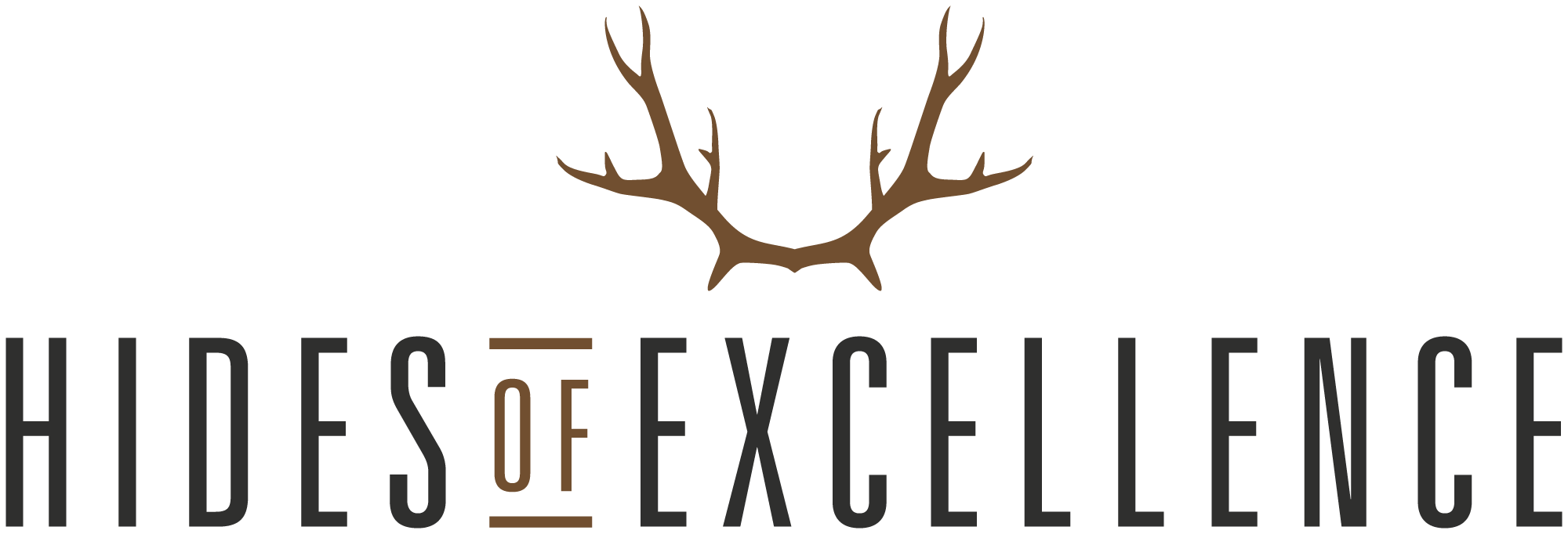 Buy Animal Skin Home Decor Online | Hides of Excellence