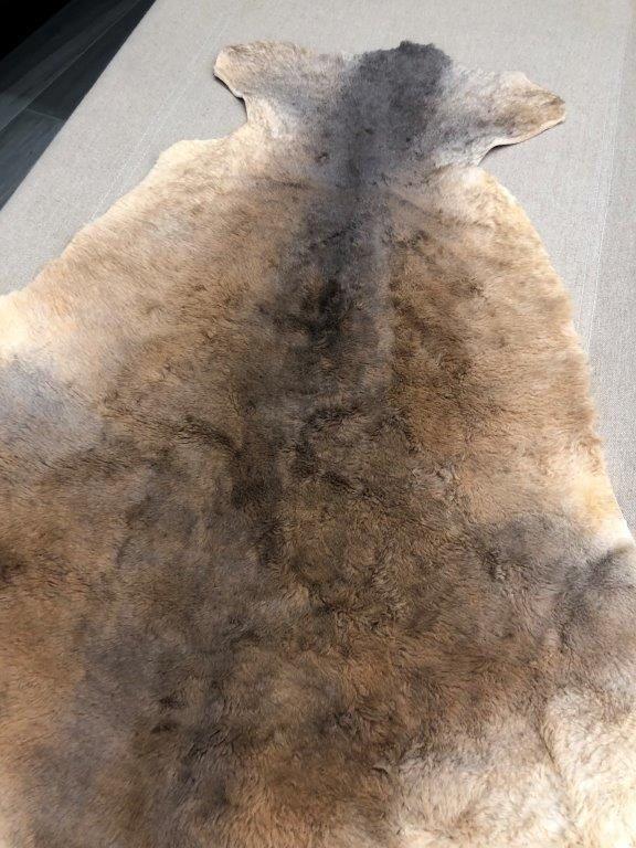 Kangaroo Hide