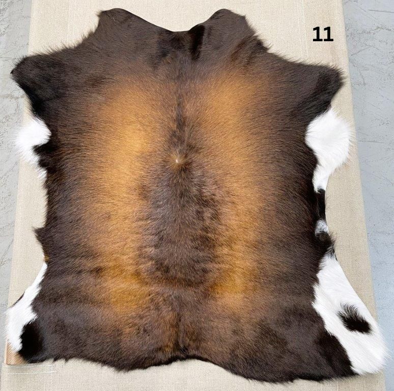 11.
