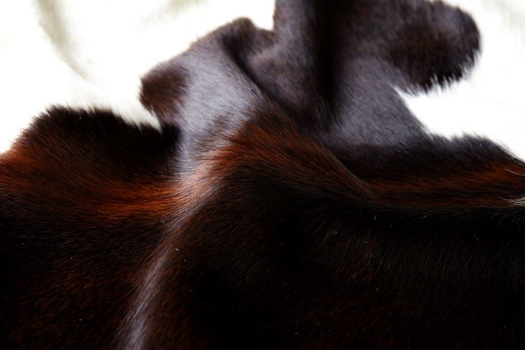 Cowhide Rug - Reddish Brown (Regular)