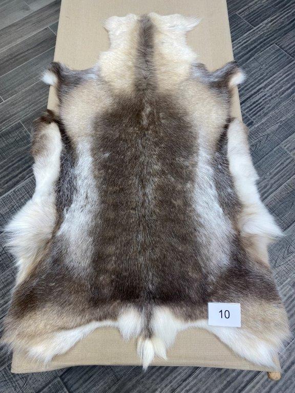 Reindeer Beige - 10