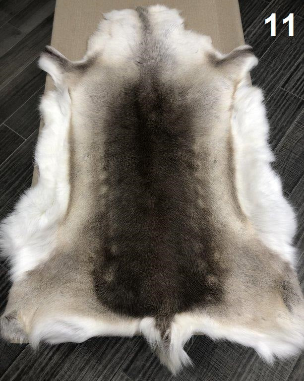 Reindeer Beige - 11