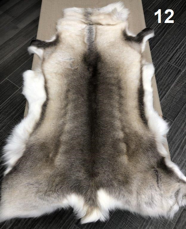 Reindeer Beige - 12
