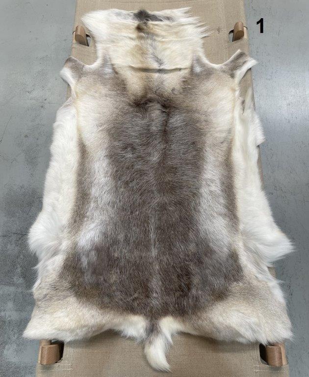 Reindeer Beige - 1