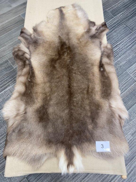 Reindeer Beige - 3