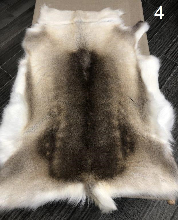 Reindeer Beige - 4