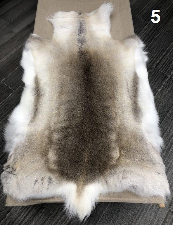 Reindeer Beige - 5