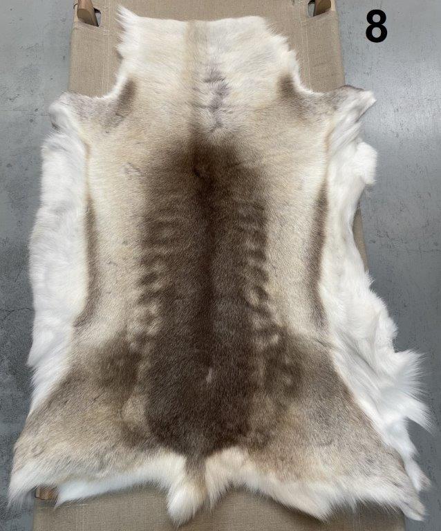 Reindeer Beige - 8