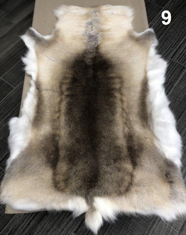 Reindeer Beige - 9