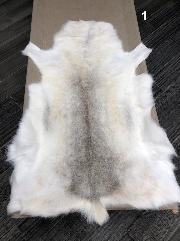 Reindeer Hide - Light