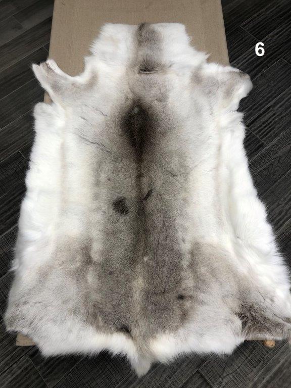 Reindeer Hide - Light