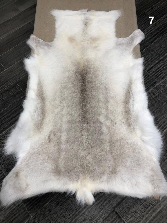 Reindeer Hide - Light