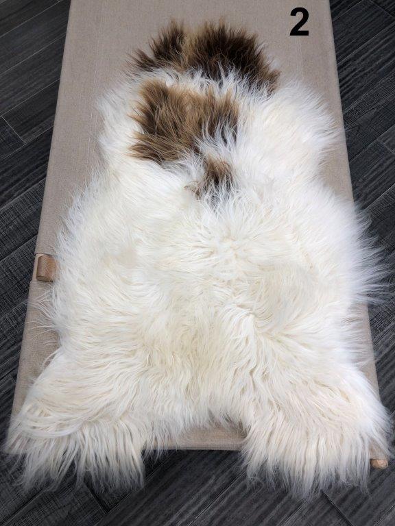 Icelandic Sheepskin Rug - Brown and White Spot