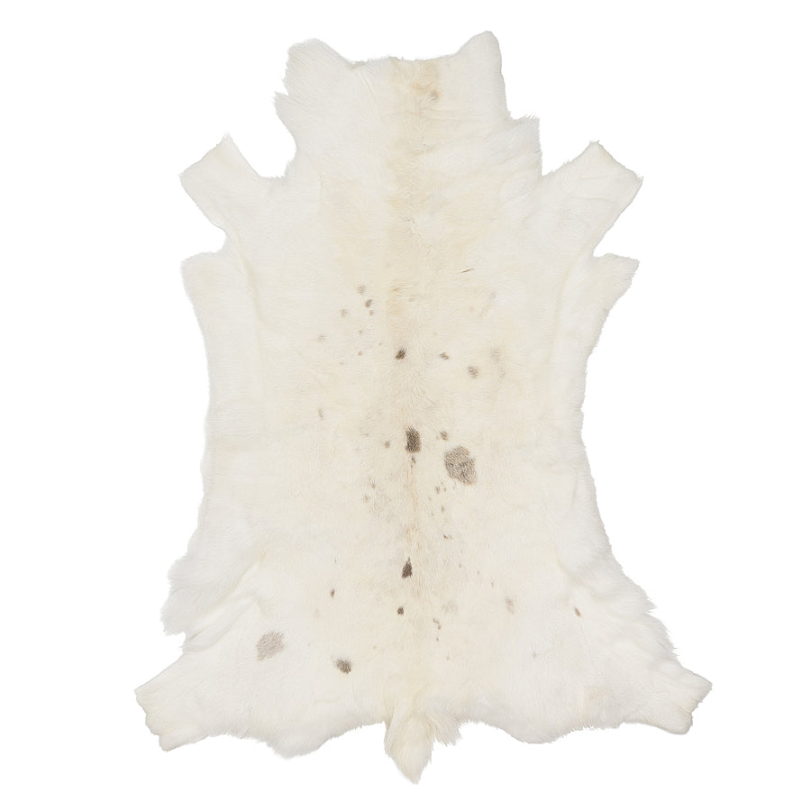 Reindeer Hide - Albino Spotted