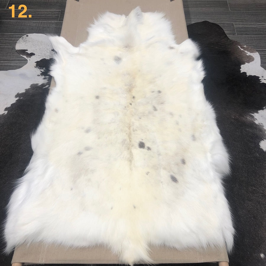 Reindeer Hide - Albino Spotted