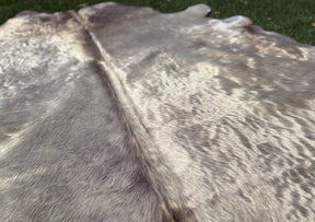 Cowhide Rug – Champagne | Natural Hair‑On Hide (Regular)