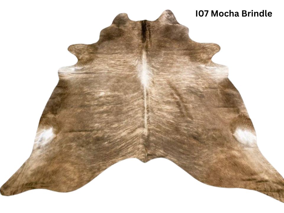 Assorted Colours Cowhide Rug -  ON SALE (Regular)