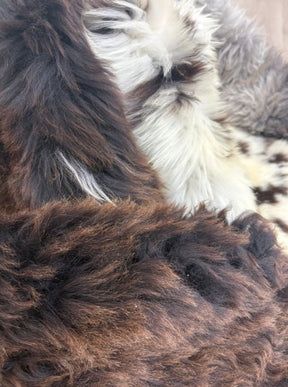 British Sheepskin Rug – Rich Dark Brown | Natural Wool Hide