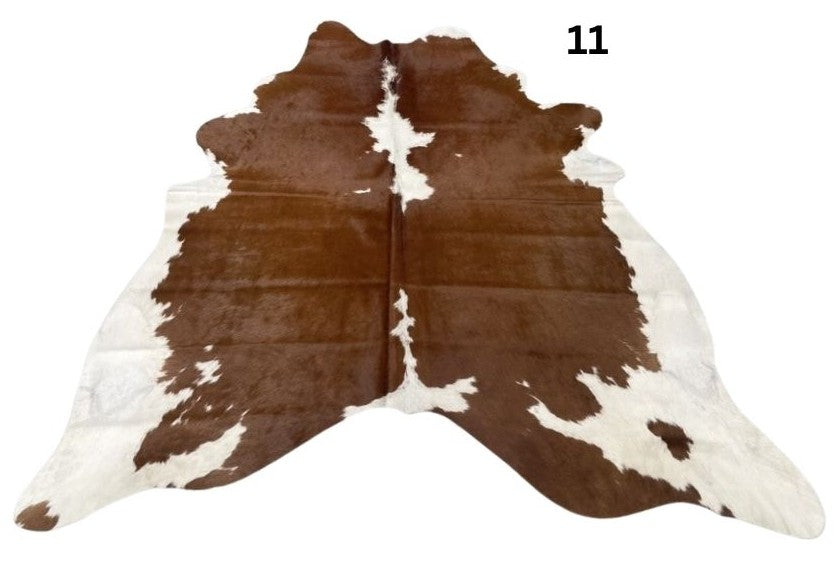 11.