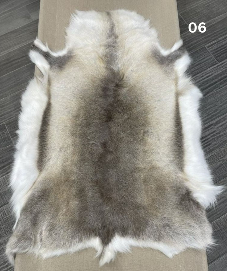 06.