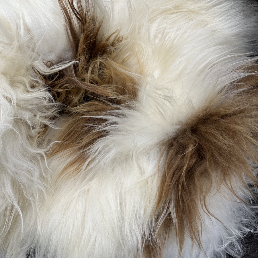 Detail of brown and white Icelandic sheepskin wool