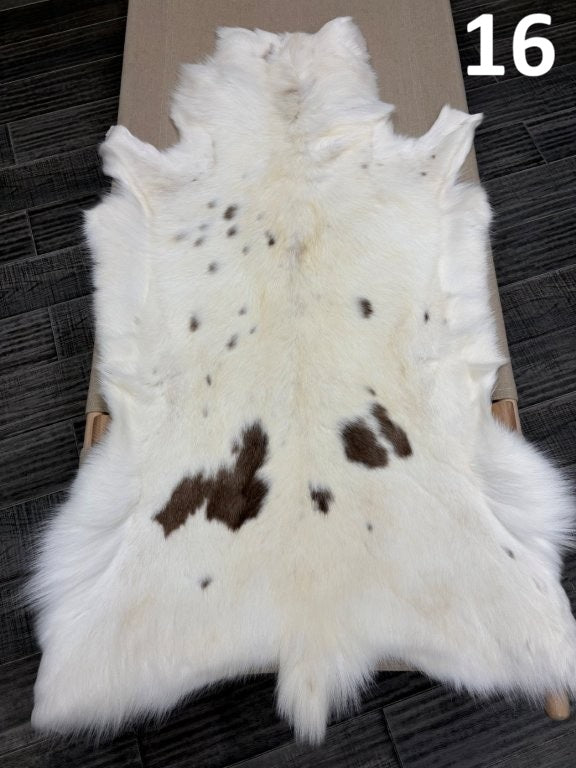 Reindeer Albino Spotted Hide - 16