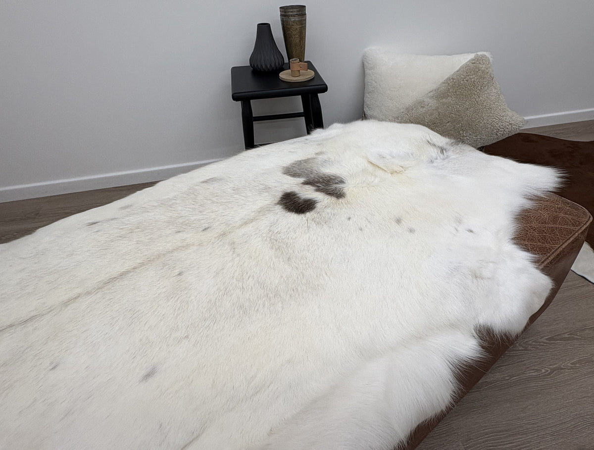 Albino spotted reindeer hide throw styled over seating showing naturally light hair and distinctive spotted markings