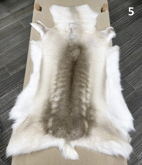 Beige reindeer hide throw numbered 5 showing natural markings and shape