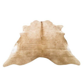Beige Small Collection