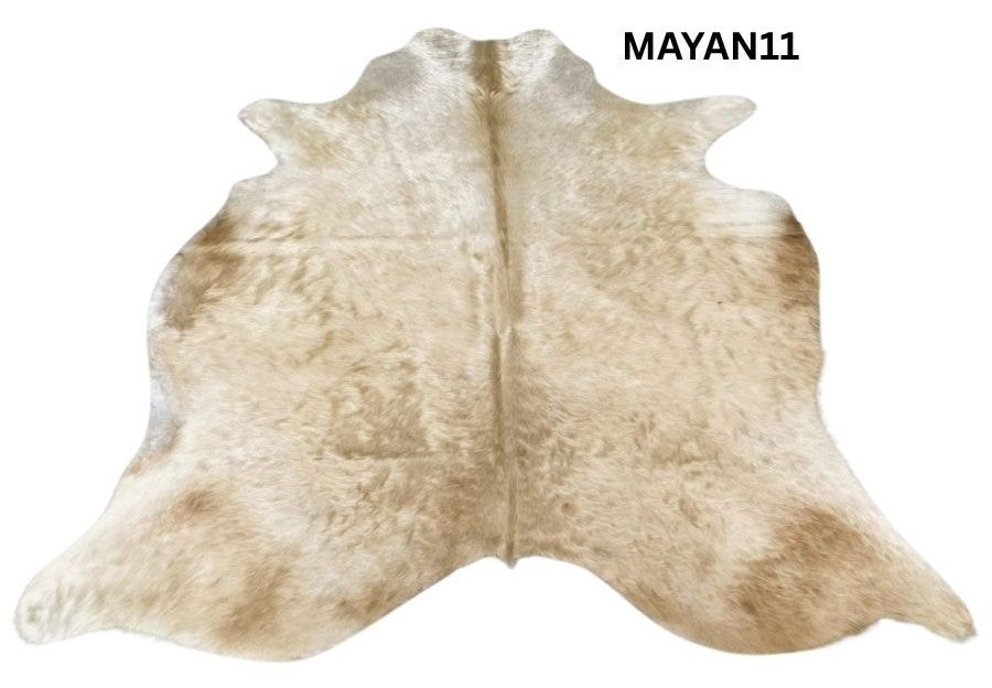 Mayan11