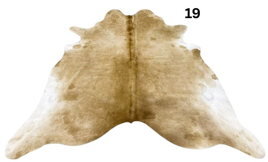 19.