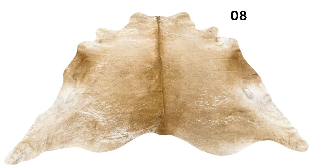 08.