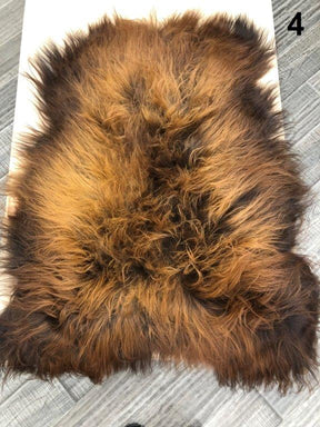 Icelandic Sheepskin Rug - Brown with Auburn Tips