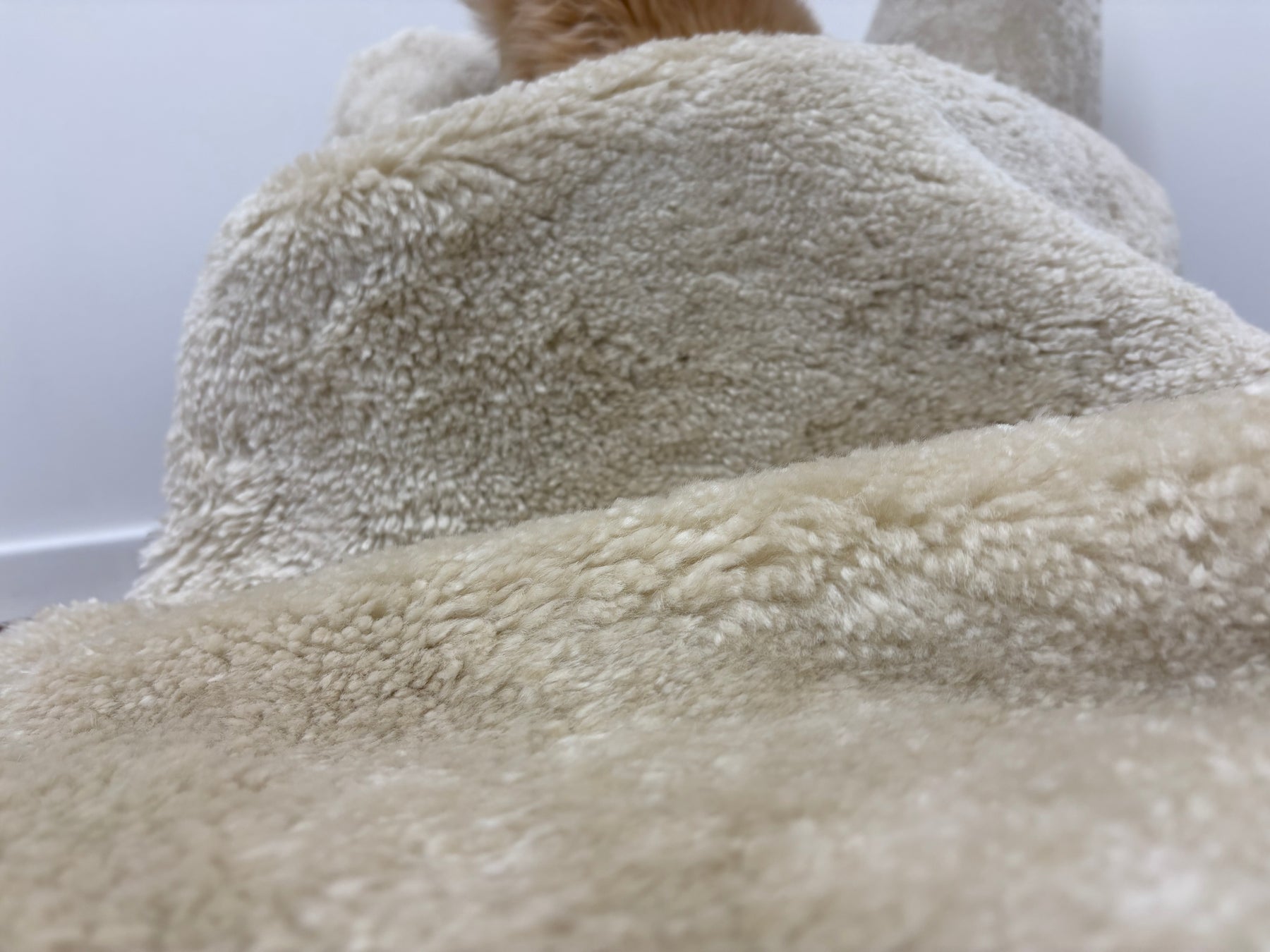 Close-up of bone shearling rug showing compact, tightly curled wool texture