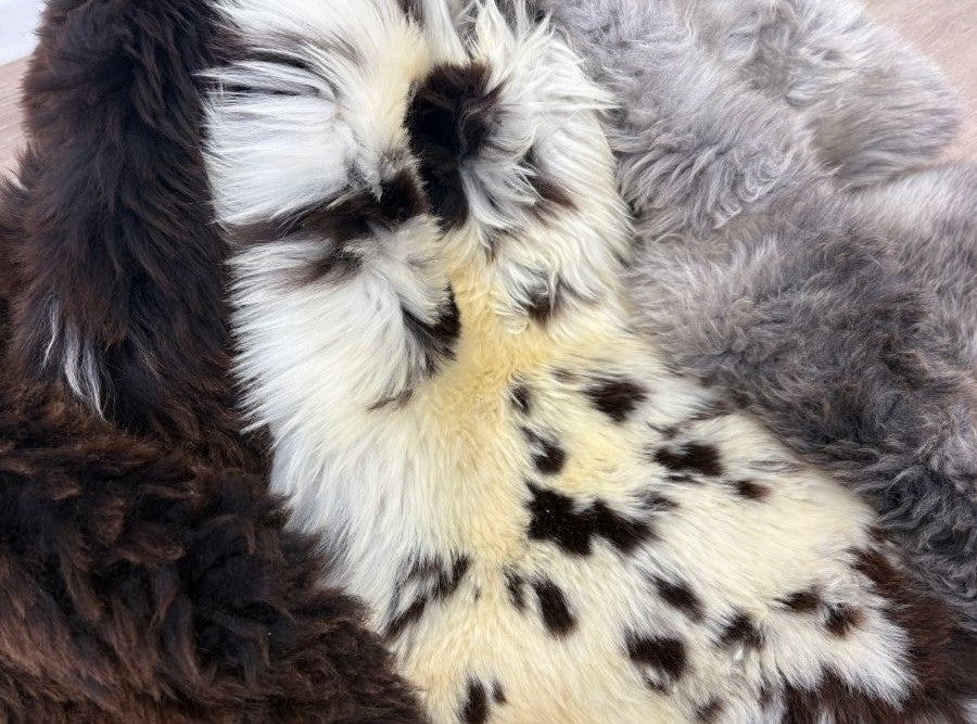 British sheepskin rug selection showing natural colour variation with white, brown and spotted patterns and soft dense wool texture