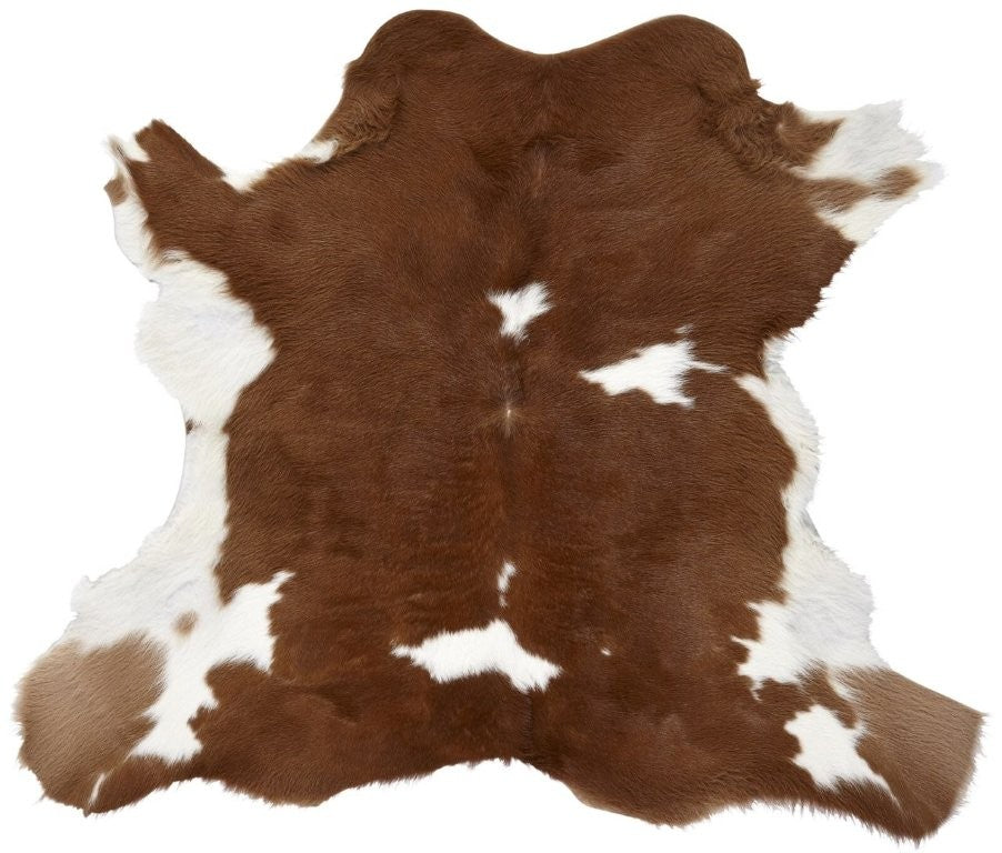 Brown and white calf hide rug with natural markings and soft smooth hair on a white background