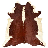 Brown and white Hereford cowhide rug regular size genuine hide with rich reddish centre and contrasting white edges displayed on white background