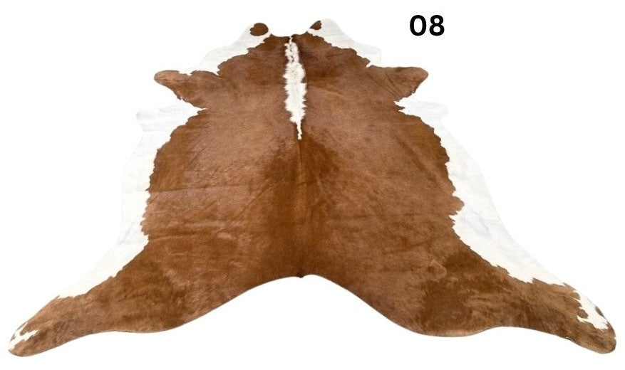 08.