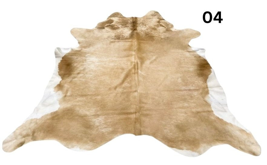 04.