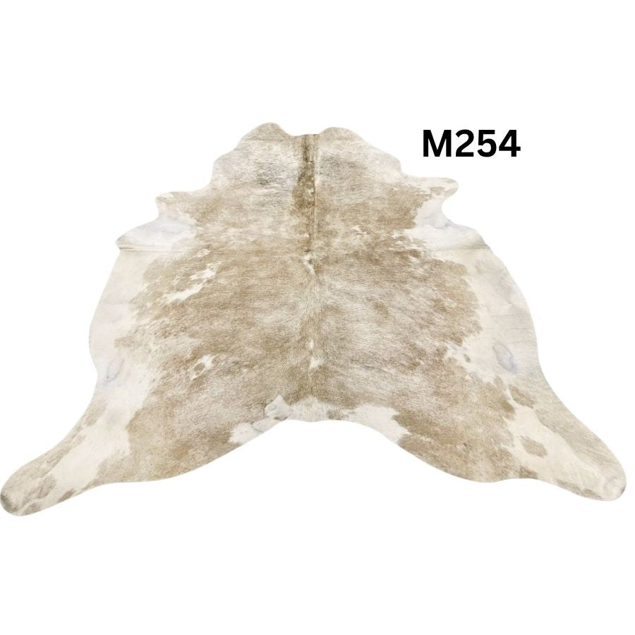 M254.