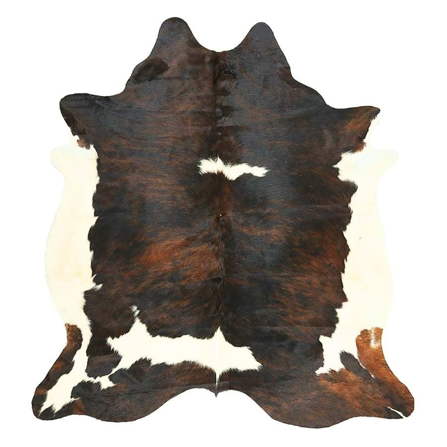 Tri colour cowhide rug shown individually on a white background