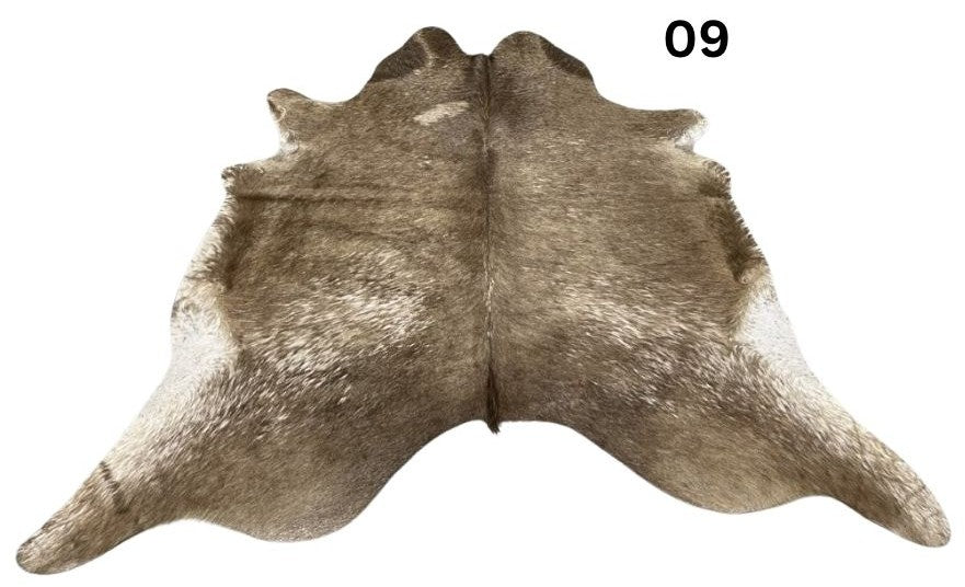 09.