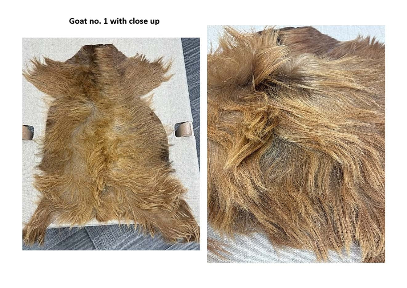 European Longhair Goat Hide Rug No. 1 in golden natural tones with full hide view and detailed close-up of the long flowing hair texture.