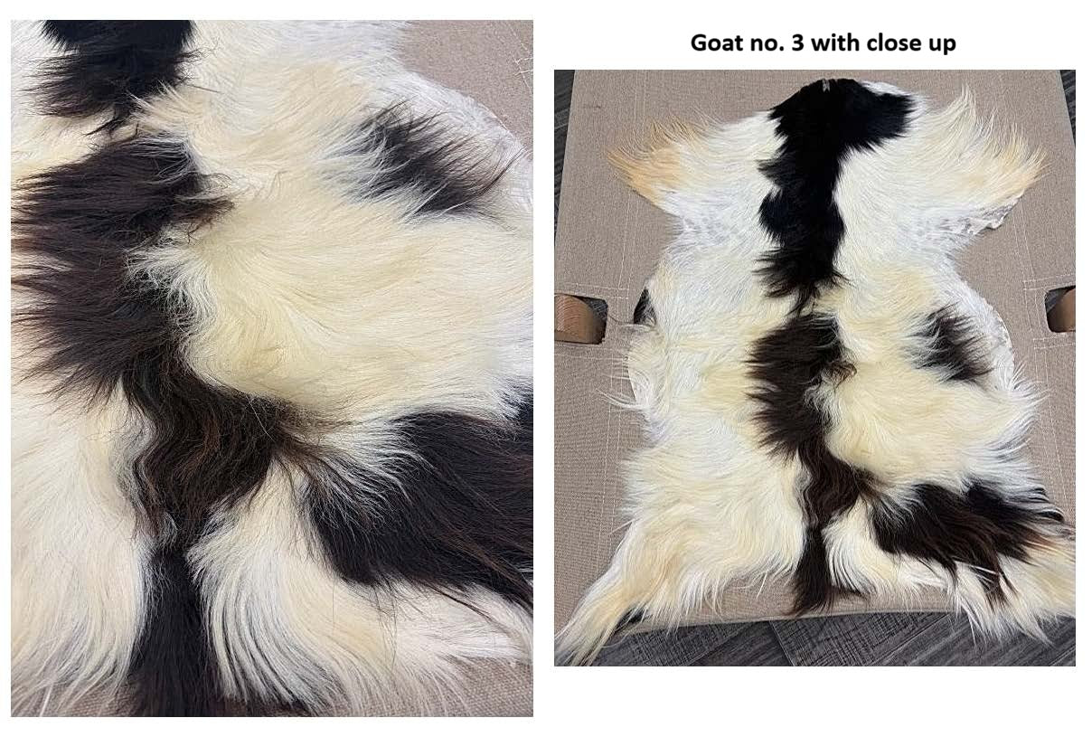European Longhair Goat Hide Rug No. 3 featuring striking black and white markings with full hide view and close-up of the long flowing natural hair texture.