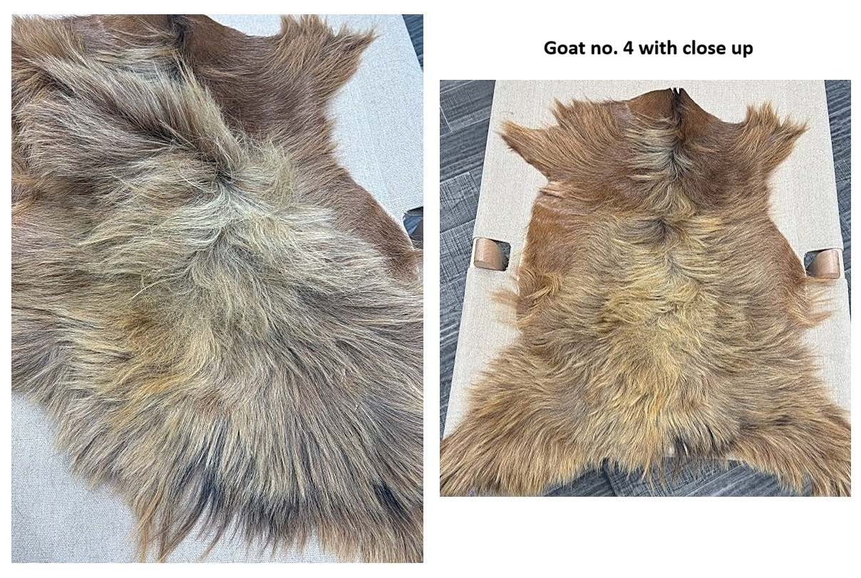European Longhair Goat Hide Rug No. 4 in soft fawn and natural tones with full hide view and close-up of the luxurious long-hair texture.