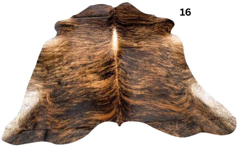 Exotic Brindle Regular - 16