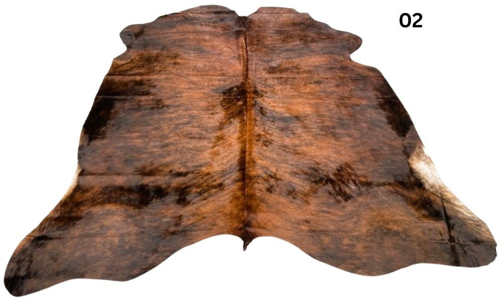 Large Exotic Brindle - 02